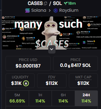 the ticker is $cases 9YugDJb5rxenUF6HHDUC4poHyuN9Lzf3VJ783wtnpump