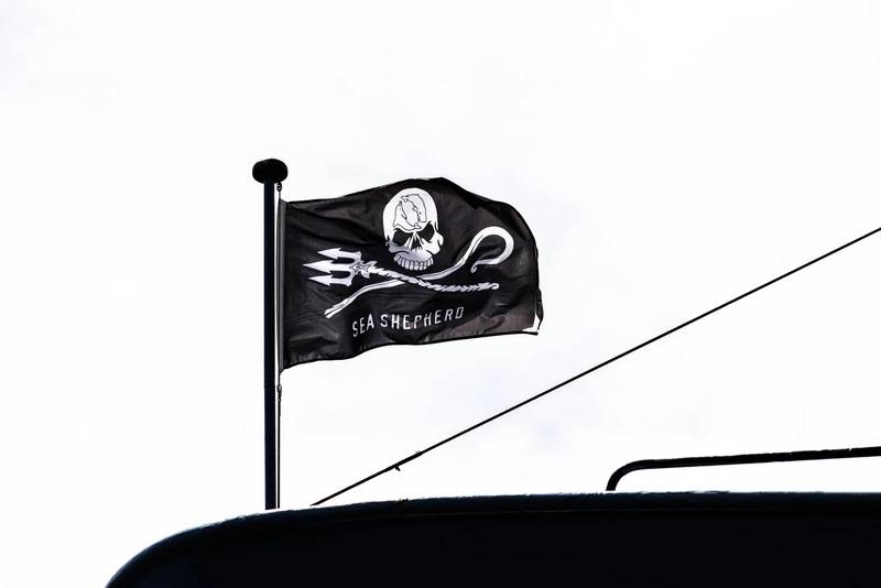 MaritimeApp's tweet photo. Anti-whaling Activist Watson to Stay in Greenland Detention https://t.co/Iw3AlG5I5s https://t.co/UijJkaJwMm