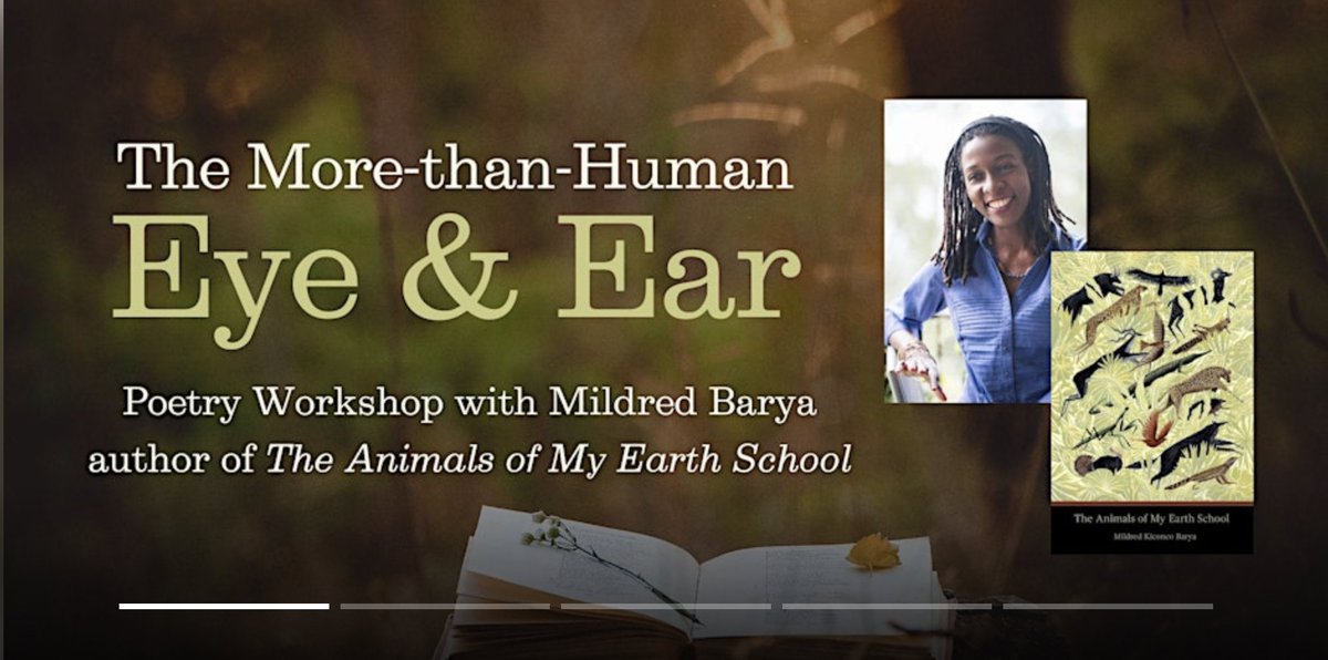 I am thrilled to offer this workshop on Sept 7, 2024 at the Carolina Mountains Literary Festival in Burnsville. Looking forward to seeing many wonderful folks.  eventbrite.com/e/the-more-tha…