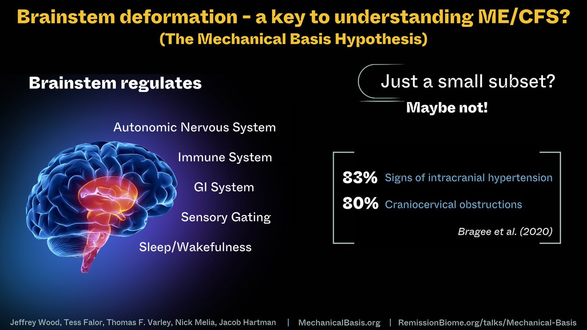 I'm happy that <a href="/jeff_says_that/">Jeff Wood</a> was able to present! 

Brainstem deformation could cause countless downstream effects.