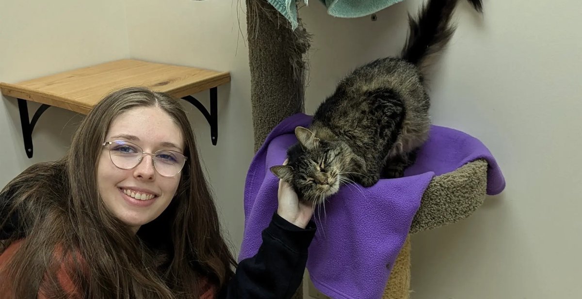 Cat Returns Home To Texas After Traveling More Than 2,000 Miles dlvr.it/TCqcDQ