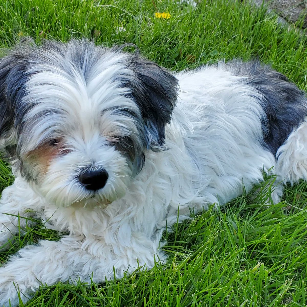 September 14, 2009 - September 4, 2024

Love you, Maggie. Thank you for being a part of the family.
