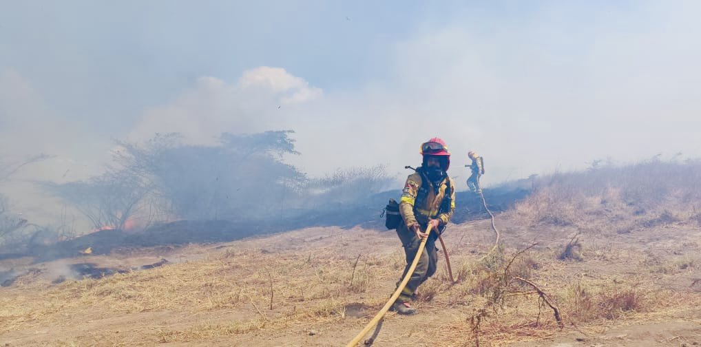 Esteban Cárdenas Varela tweet media