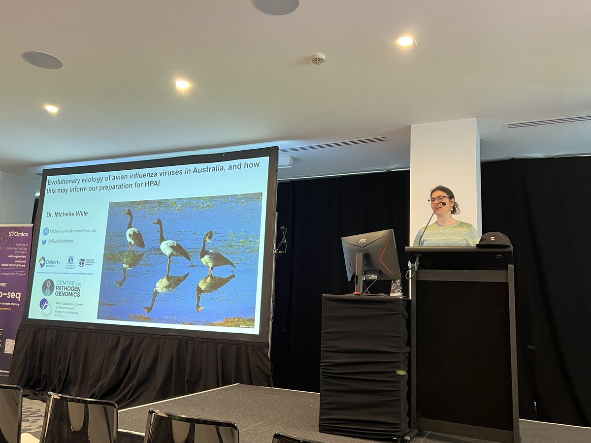 Planary talk by <a href="/DuckSwabber/">Michelle Wille</a> from <a href="/UniMelb/">University of Melbourne</a> shares how #Genomics of low pathogenicity avian #influenza enhances our understanding of risk assessment and preparedness for high pathogenicity avian influenza in Australia. #InfluenzaResearch
#QRW2024