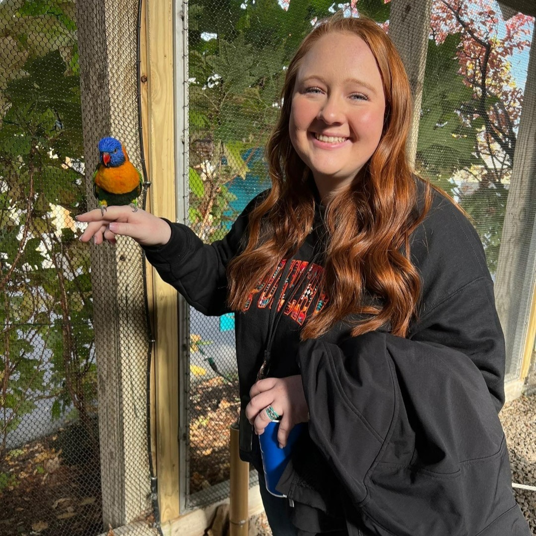 MattWatsonSF's tweet image. On National Wildlife Day, remember to take a walk on the wild side... but with the right insurance by your side! Don't let the unexpected turn your jungle into a disaster, stay safe and covered. #WildAndInsured #InsuranceSavvy