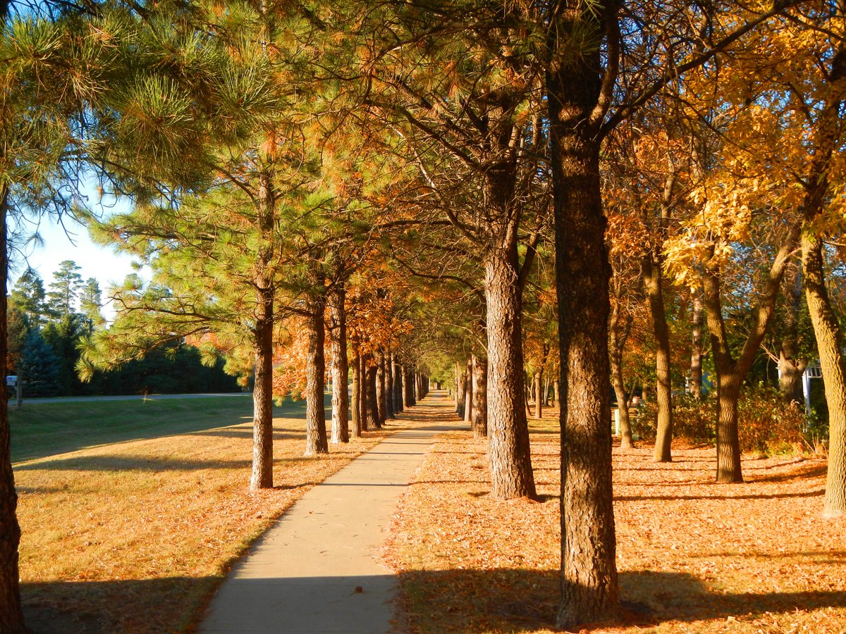 VisitBrookingsSD tweet media