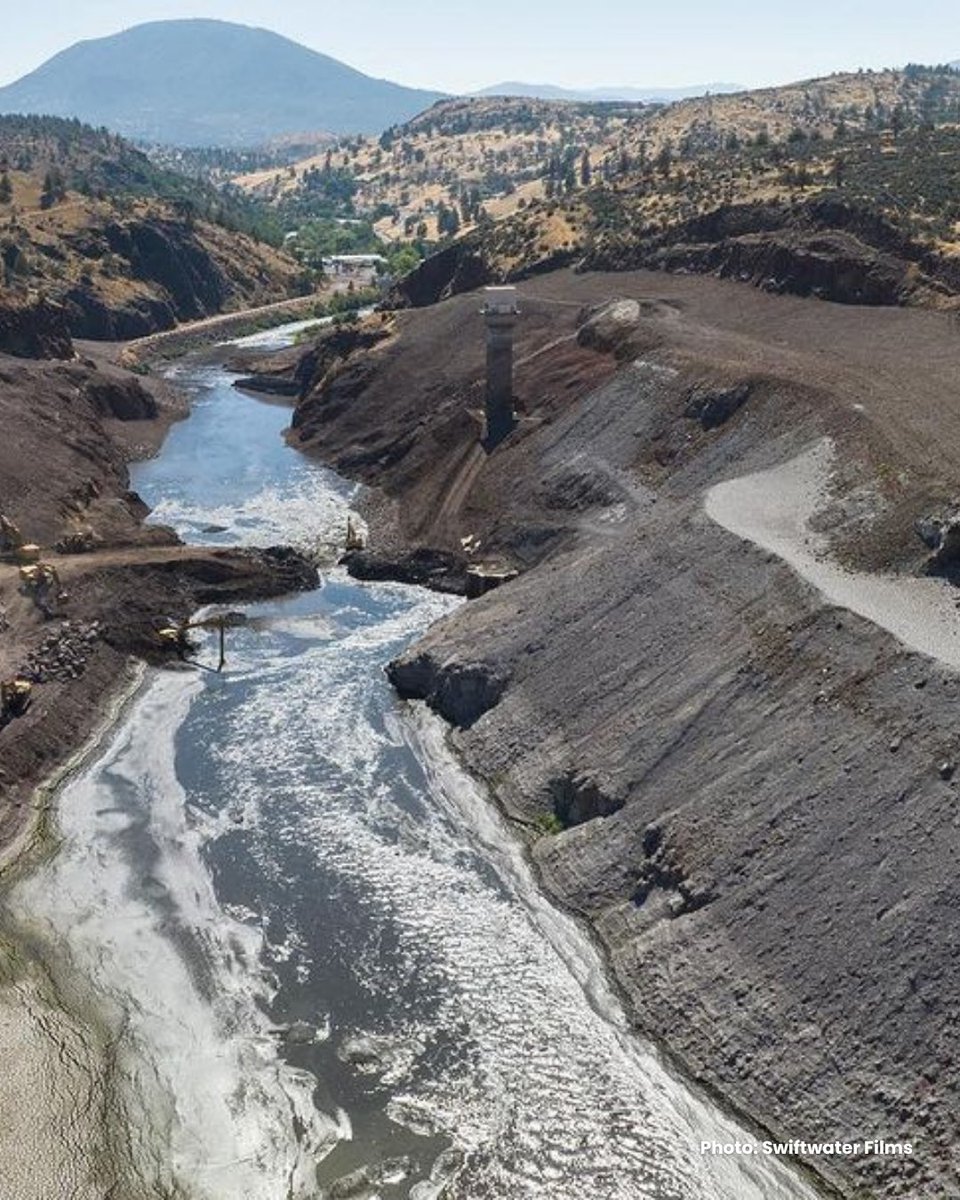 Sierra Club Washington State (@sierraclubwast) on Twitter photo Great news from <a href="/ReconnectKlama1/">Reconnect Klamath</a>! The Klamath river flows freely after cofferdam removal at Iron Gate Dam! An achievement made possible by Klamath Basin tribes and those dedicated to the cause - and an example for Washington to follow re: Snake River. Great news from <a href="/ReconnectKlama1/">Reconnect Klamath</a>! The Klamath river flows freely after cofferdam removal at Iron Gate Dam! An achievement made possible by Klamath Basin tribes and those dedicated to the cause - and an example for Washington to follow re: Snake River.