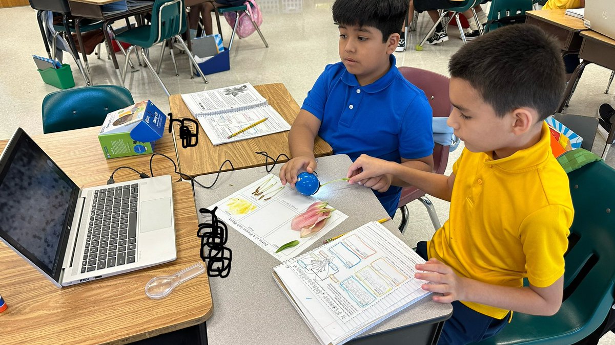 Ms. Fitz tweet media