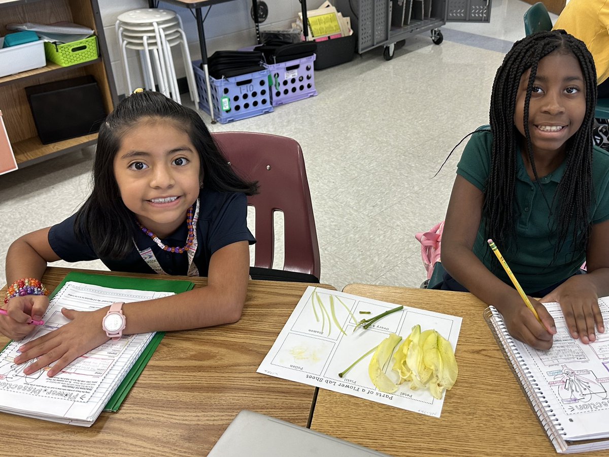 Ms. Fitz tweet media