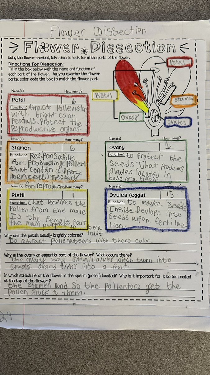 Ms. Fitz (@4thwithmsfitz) on Twitter photo The fourth graders at <a href="/GTEtoucans/">Golden Terrace Elementary</a> got hands-on in science with a flower dissection. Using the zoomy, students were able to get an up-close look at the parts of a flower to help them explain the process of plant reproduction. #fourthgrade #science #floweringplants <a href="/MrsParlier_5/">Emily Parlier</a> The fourth graders at <a href="/GTEtoucans/">Golden Terrace Elementary</a> got hands-on in science with a flower dissection. Using the zoomy, students were able to get an up-close look at the parts of a flower to help them explain the process of plant reproduction. #fourthgrade #science #floweringplants <a href="/MrsParlier_5/">Emily Parlier</a>