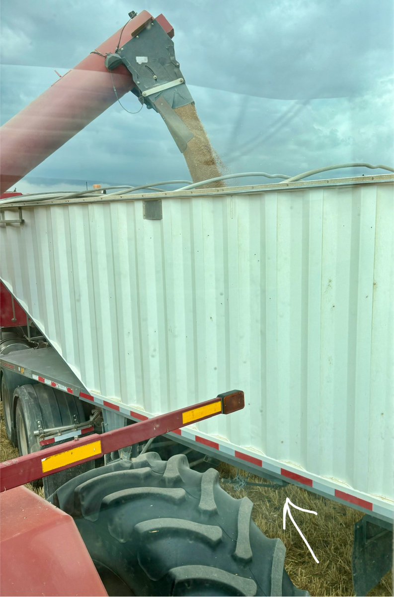 Candice Bauer tweet media