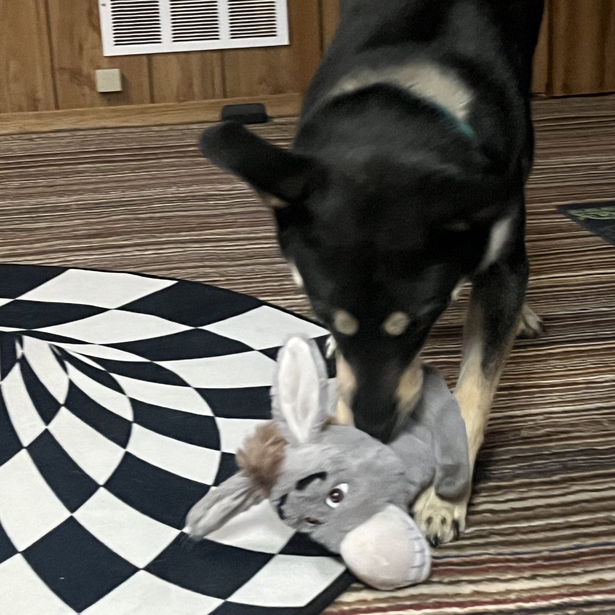 ShrekDoll's tweet photo. HALP!!!!! this new creature is shredding donkey to pieces!!! with any luck, i’ll be g-g-gulp!! I’ll be next!!! https://t.co/JJlBb1jLea