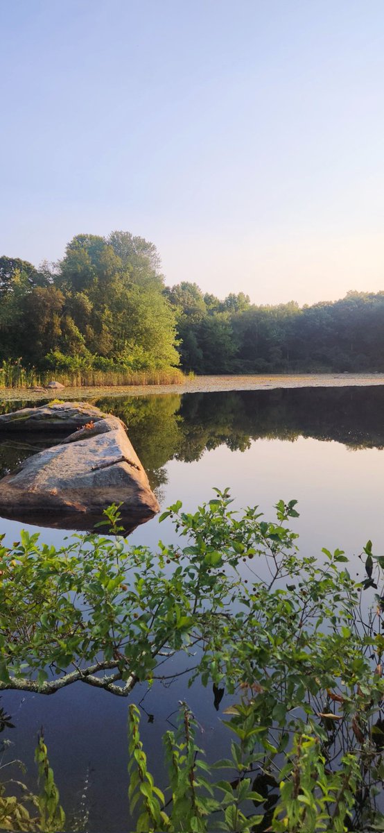 Indomable (@indomableeeeeee) on Twitter photo 