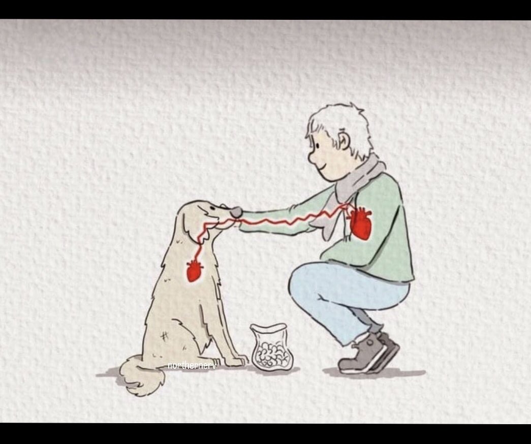 ⚠️ DİKKAT ⚠️

 #YasayıİptalEtAYM 

Bilim    Adalet      Etik     Merhamet 

Bu kavramlar ile hareket edin 

En eski dostluğu   En saf bağı bozmayın 

<a href="/AYMBASKANLIGI/">Anayasa Mahkemesi</a> 
Katliama dur deyin 🚫 

Yaşam ve yarınlar için 🍀 
#KatliamYasasınaHayır