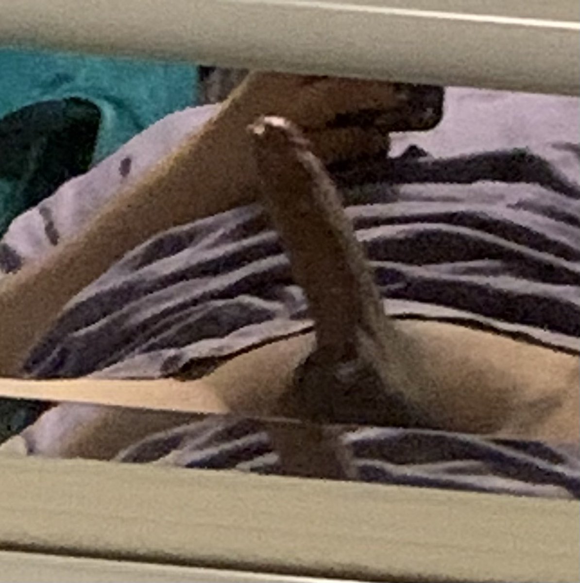 fagposting4's tweet photo. https://t.co/jE6bVydiTh