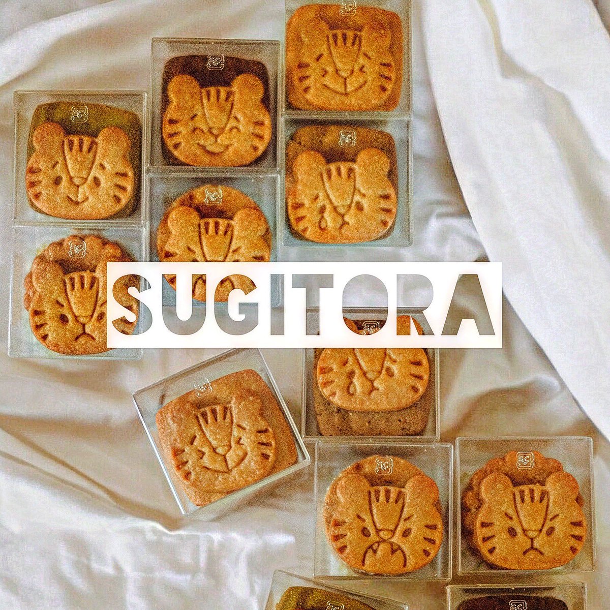 とらちゃんページ とらちゃん on X