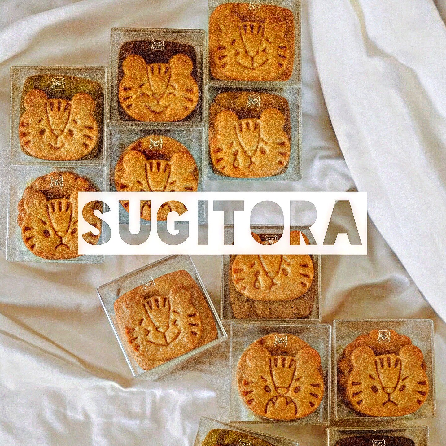 SUGiTORA on X: 