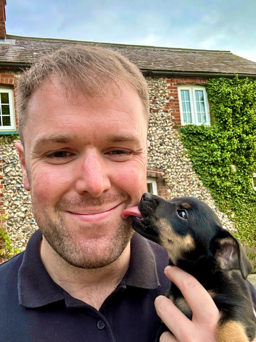 Seán Maher (@irishkangaroo) on Twitter photo 