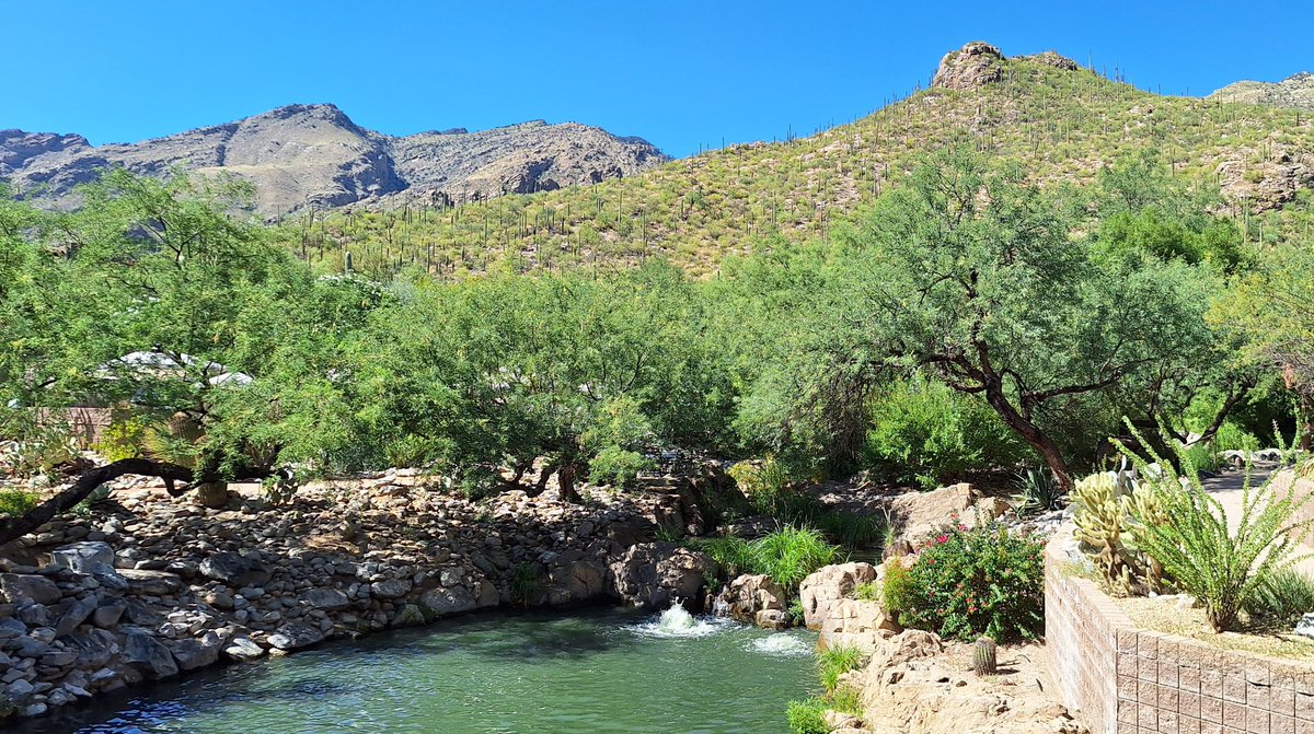 Research Corporation for Science Advancement (@rcsa1) on Twitter photo The 1st meeting of #Scialog: Sustainable Minerals, Metals, and Materials begins today! A warm Tucson welcome to our Fellows, Facilitators, and guests. - with <a href="/SloanFoundation/">Sloan Foundation</a> & <a href="/KavliFoundation/">The Kavli Foundation</a> The 1st meeting of #Scialog: Sustainable Minerals, Metals, and Materials begins today! A warm Tucson welcome to our Fellows, Facilitators, and guests. - with <a href="/SloanFoundation/">Sloan Foundation</a> & <a href="/KavliFoundation/">The Kavli Foundation</a>