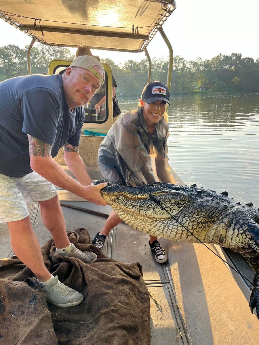TheTexasOne (@texasrepublic71) on Twitter photo Well, that was quick! Day one of gator season and already snagged an 11” and 9” gator for this Missouri couple - I guess you could say we're off to a snappy start! #huntgators #martinslouisianaalligatorhunts Huntgators.com Well, that was quick! Day one of gator season and already snagged an 11” and 9” gator for this Missouri couple - I guess you could say we're off to a snappy start! #huntgators #martinslouisianaalligatorhunts Huntgators.com