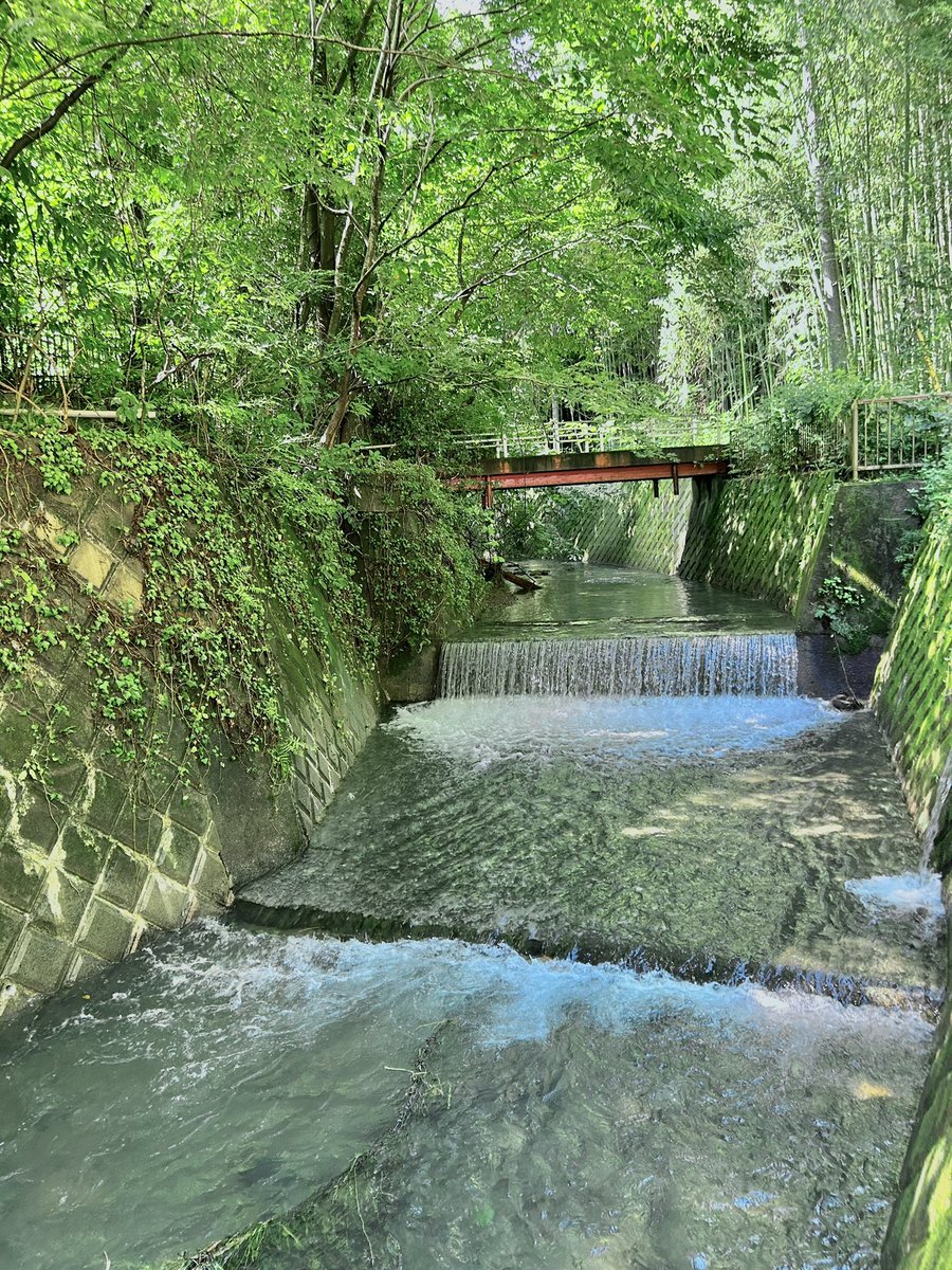 oderlw's tweet image. 毎日これ。