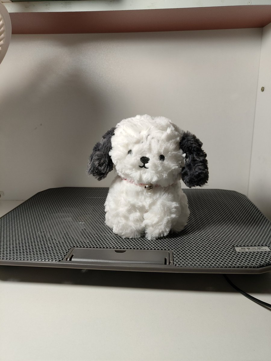 西西弗斯 (@xixifusi9) on Twitter photo 