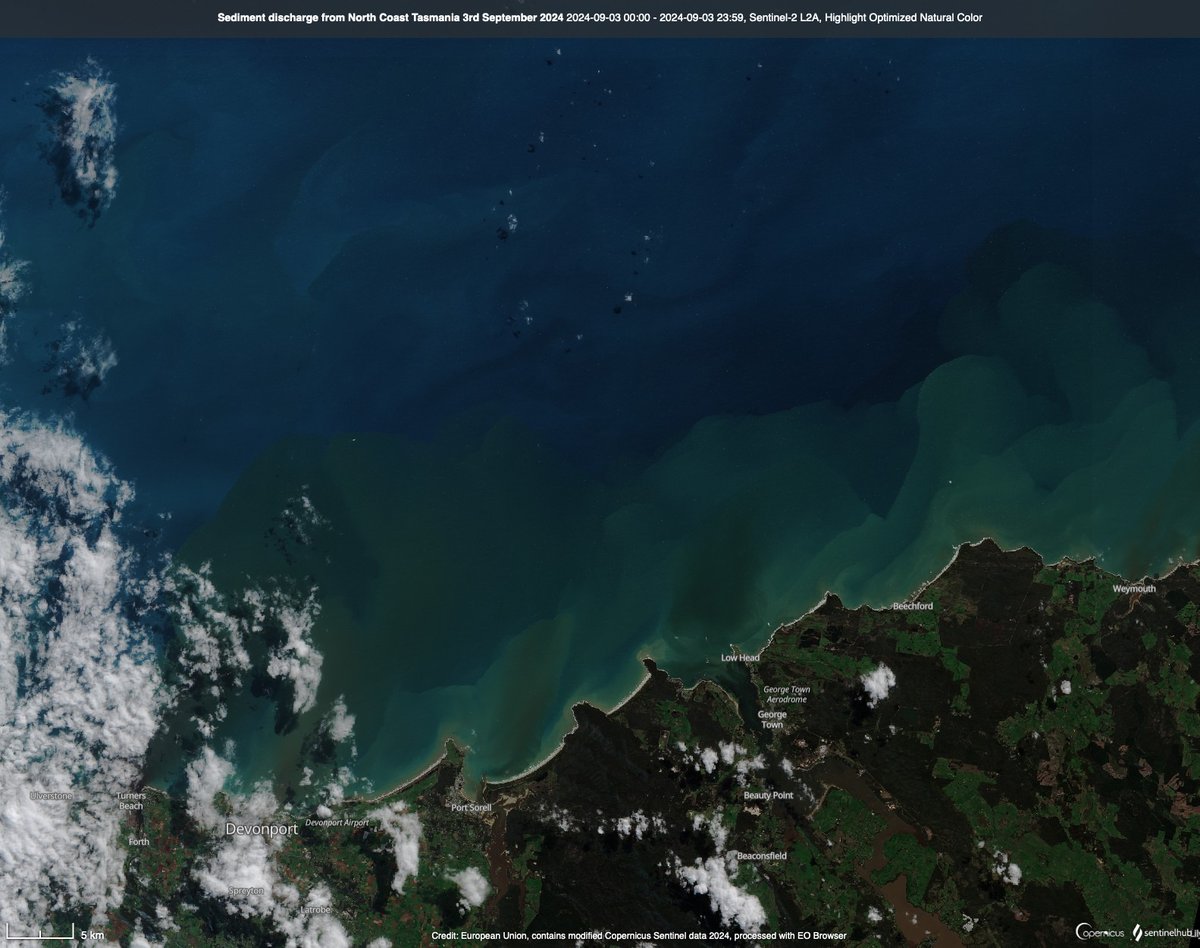 Tyson Millar tweet media