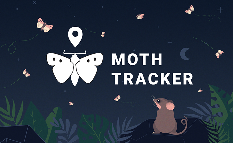 CeRDI (@cerdi_feduni) on Twitter photo Help scientists track the migration of Endangered Bogong Moths to help them and the Critically Endangered Mountain Pygmy-possum. Upload your moth pictures and location to Moth Tracker: zoo.org.au/moth-tracker/ (website developed by CeRDI <a href="/FedUniAustralia/">Federation University</a>) w/ <a href="/ZoosVictoria/">Zoos Victoria</a> Help scientists track the migration of Endangered Bogong Moths to help them and the Critically Endangered Mountain Pygmy-possum. Upload your moth pictures and location to Moth Tracker: zoo.org.au/moth-tracker/ (website developed by CeRDI <a href="/FedUniAustralia/">Federation University</a>) w/ <a href="/ZoosVictoria/">Zoos Victoria</a>