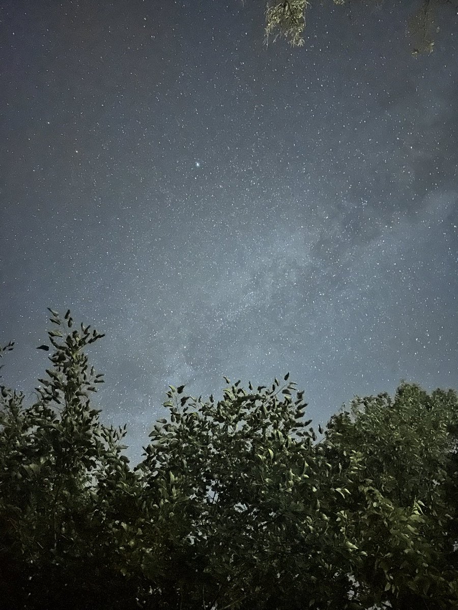 DougieStuehler's tweet photo. While avoiding a curious flying rodent I was able to capture 30s exposures of our Milkyway - Muscoda, WI August 31st https://t.co/OstupH1T8B
