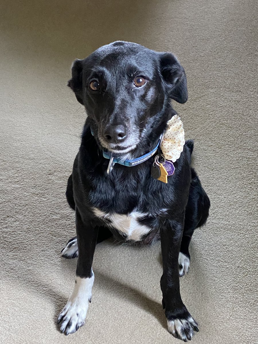 NW Editors Guild (Find us on other socials) tweet media