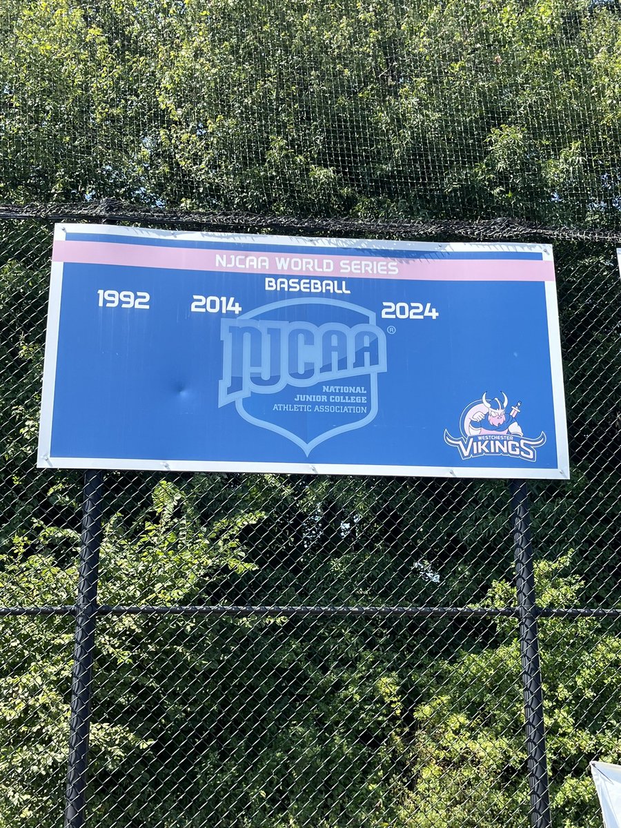Our 2024 historic season is now forever etched at Vikings Field! #TheDub