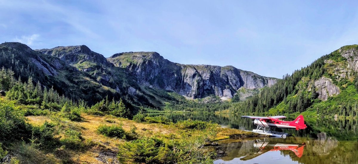 I may have taken more than a couple photos today

I just *had* to