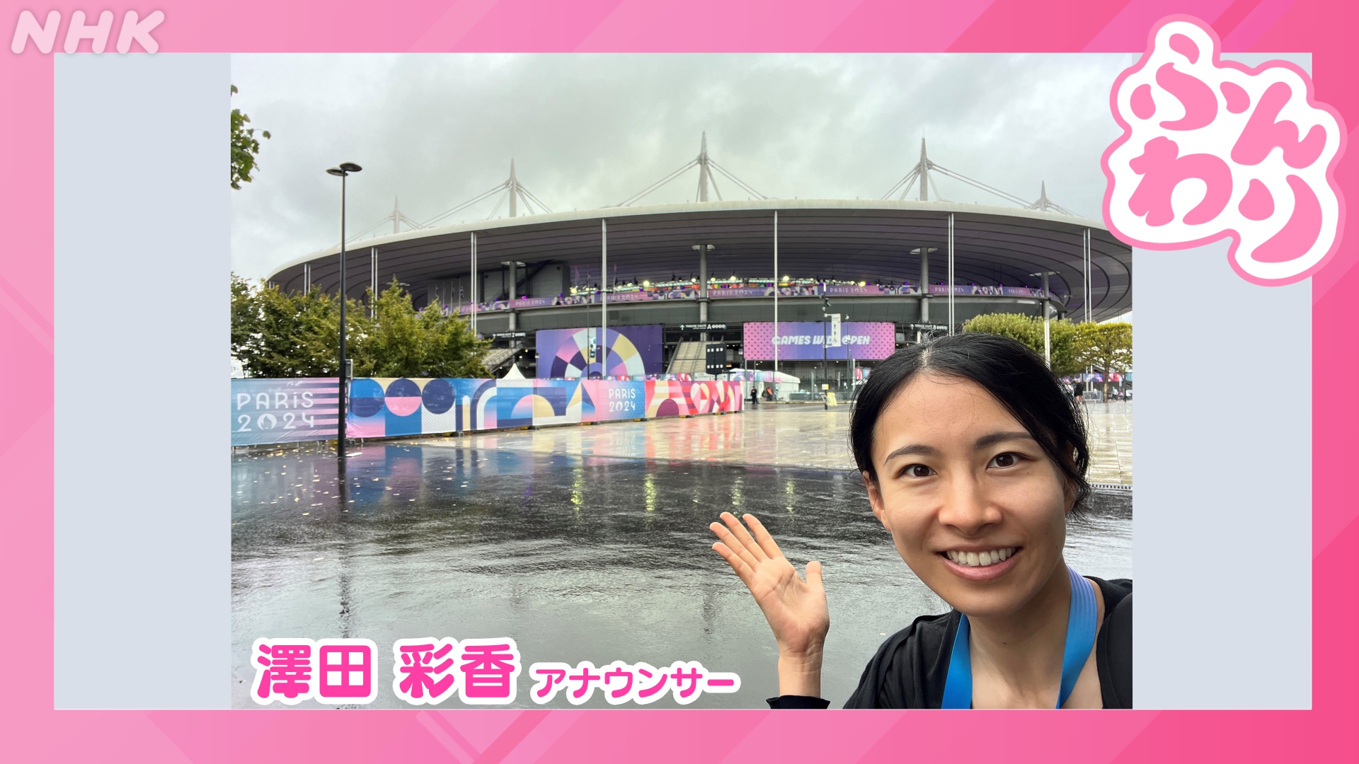 パリパラリンピック 2024 ピンバッチ NHK 扇形 パリパラリンピック 2024 ピンバッチ NHK 扇形