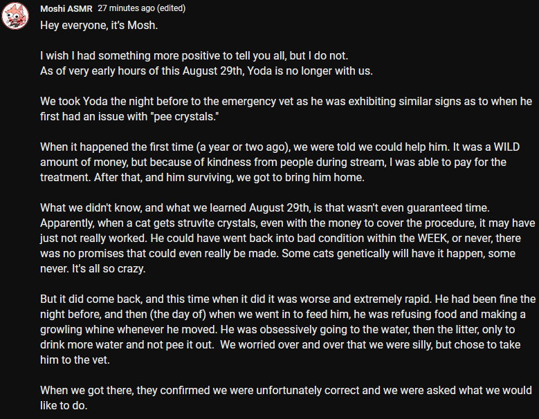 KitsuMosh's tweet photo. Hey everyone, a really long and sad update. 

We lost our baby, Yoda. 

Please take the time to read this, if possible. 

Going to attach some of my favorite images of him to this thread. 

[ #petloss | #update | #CatsofTwittter | #CatsLover ] https://t.co/3dcwWZ5ULh