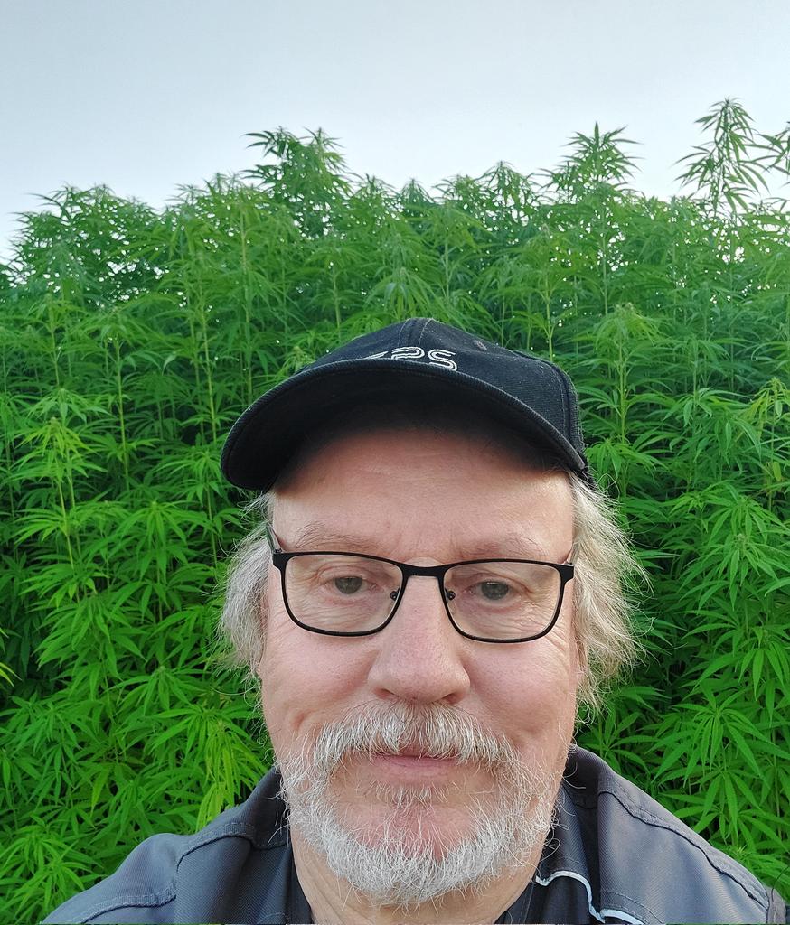 PekkaTurtiaine2's tweet photo. Ihmettelin #hamppua #Enonkoskella #Suomi #Finland #hemp #kuitu #öljy #maanparannus #lääke https://t.co/VL4tx4G0ZP