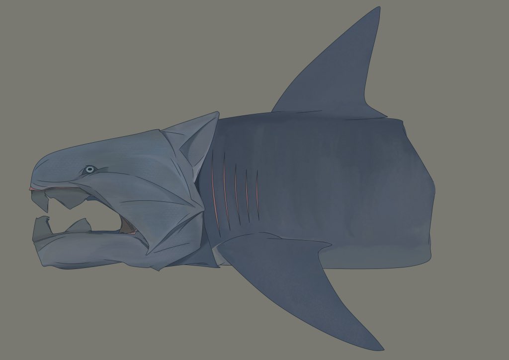 🦈めかぶ🦈 (@shark0037) / Posts / X