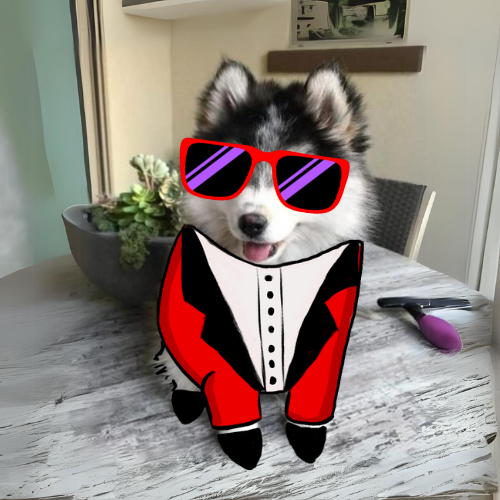 caneonsol tweet media