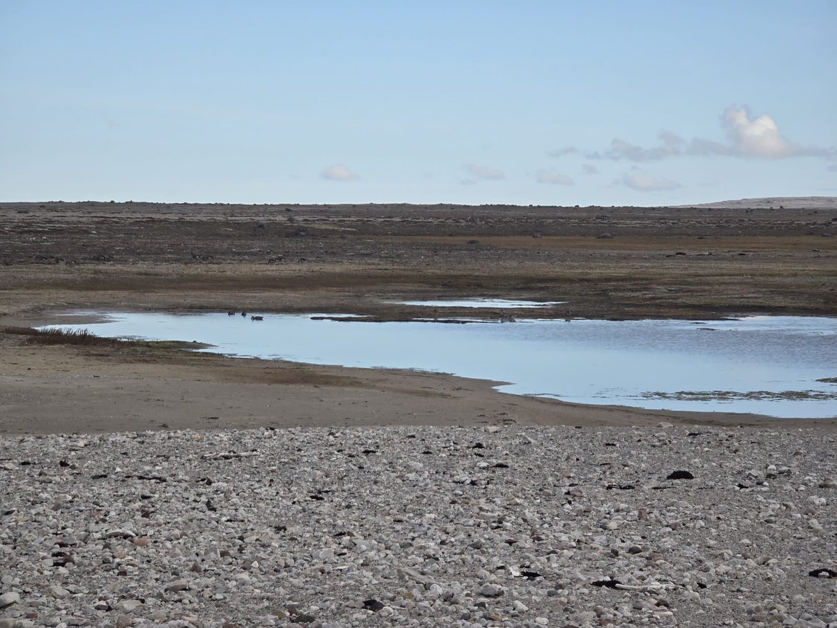 Stefan's 3 September update of the Northwest Passage Expedition is now live on the blog:

berkeleysquarebarbarian.com/2024/09/04/nwp…

#nwpexpedition 🚣🏼🩵🌍🇨🇦 (E)