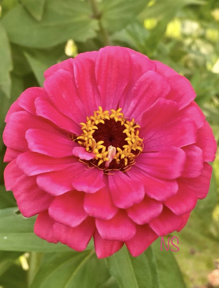 Happy Birthday Amy 🎊🎂 
Best wishes ☘️🎈
enjoy your day 🎶🥂🍾🌹<a href="/Amy89002/">Amy👠💖</a>