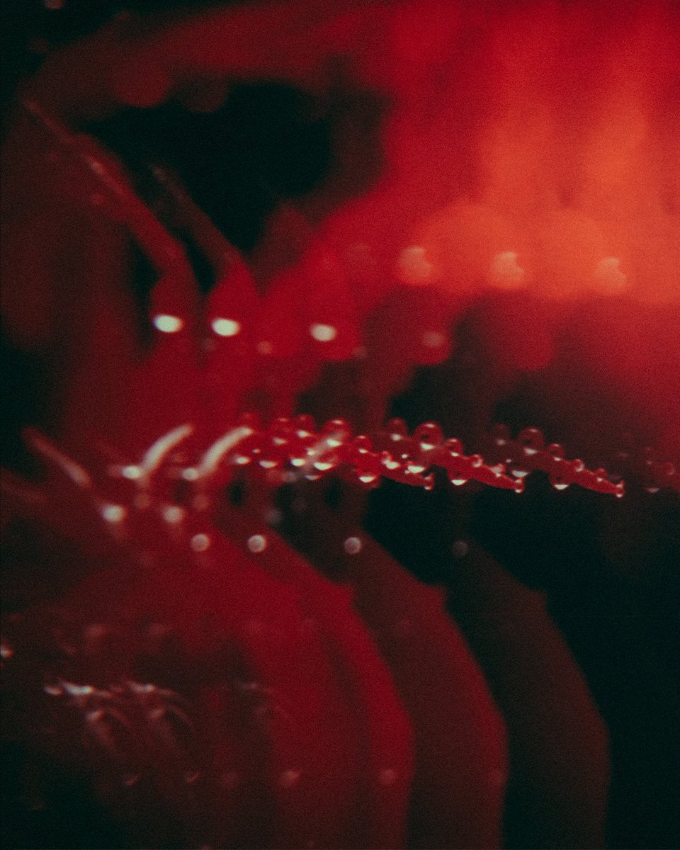 I don’t know why but I completely fell off of Twitter! Here’s some pics though!