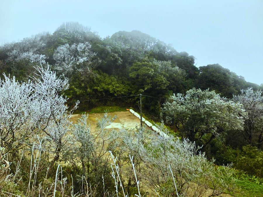 Phia Oắc – Phia Đén: ¡Descubre la belleza virgen de la montaña!
🔗Contacta para más información.
📞 WhatsApp: +84976 024 986
👉 Sitio web: viajevietnam.asia
#CRF300L #dirtbike #vietnam #viaje #aventura #vietnamviaje #viajevietnamasia #NorteVietnam #caobang #caobangvietnam