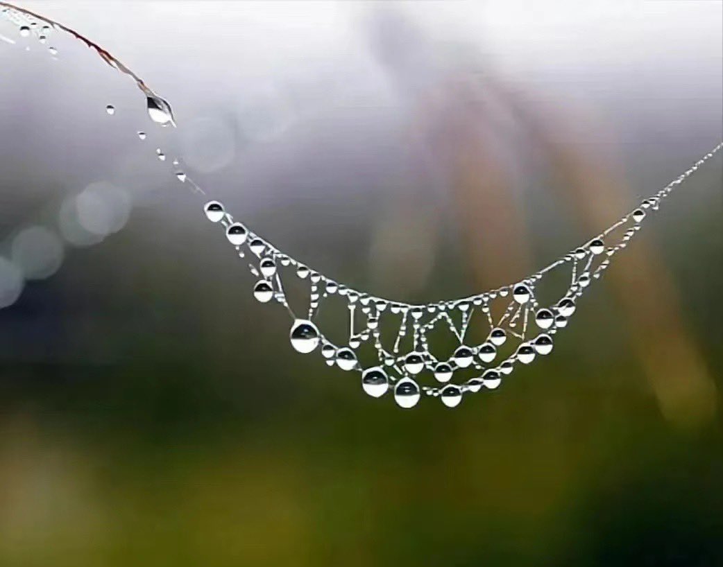 Өдрийн мэнд. Ойрд Хөххот бороонтой