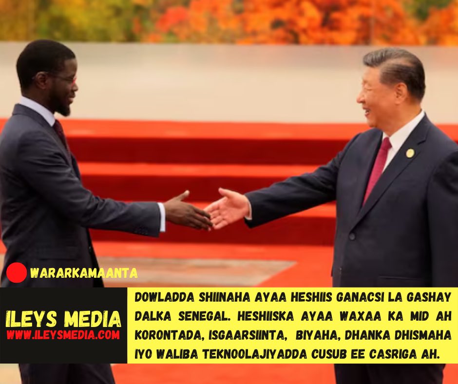 ileystv's tweet image. Xoojinta xiriirka #Turkiye &amp;amp; #Egypt.