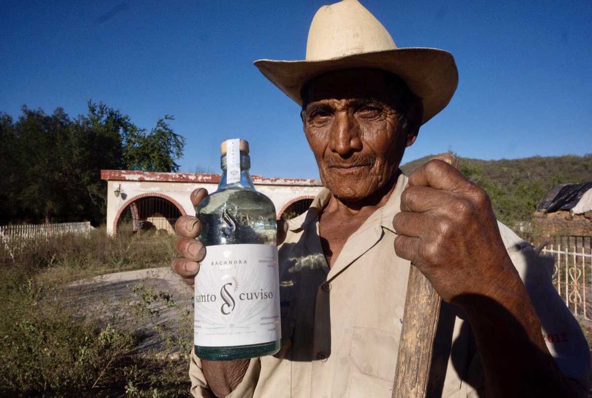 Nuestro #vaquero #Waka orgulloso miembro de la etnia #Guarijio es parte del equipo que da vida y pasión al #bacanora #SantoCuviso