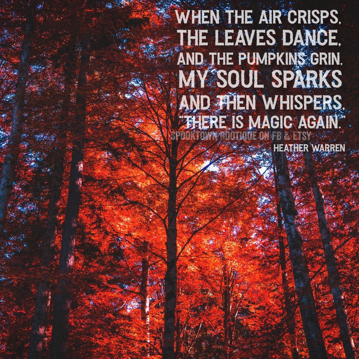 #fallseason #AutumnVibes