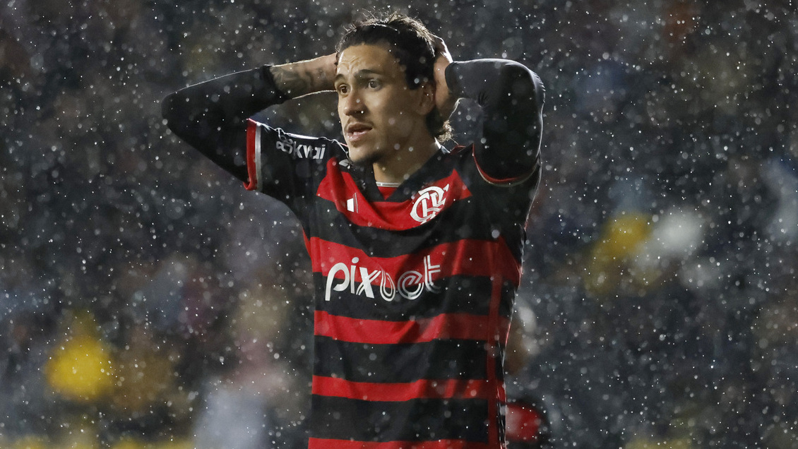 mosckardon's tweet photo. Brasil perdió a uno de sus goleadores para las clasificatorias tras grave lesión https://t.co/FSlRjVZugY https://t.co/ayH3GyfnCR