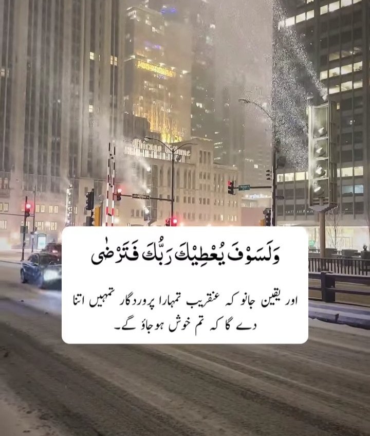 #PTI_Followers
