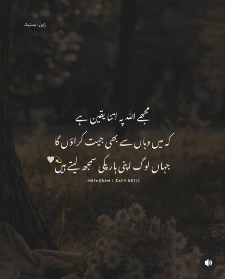 #PTI_Followers