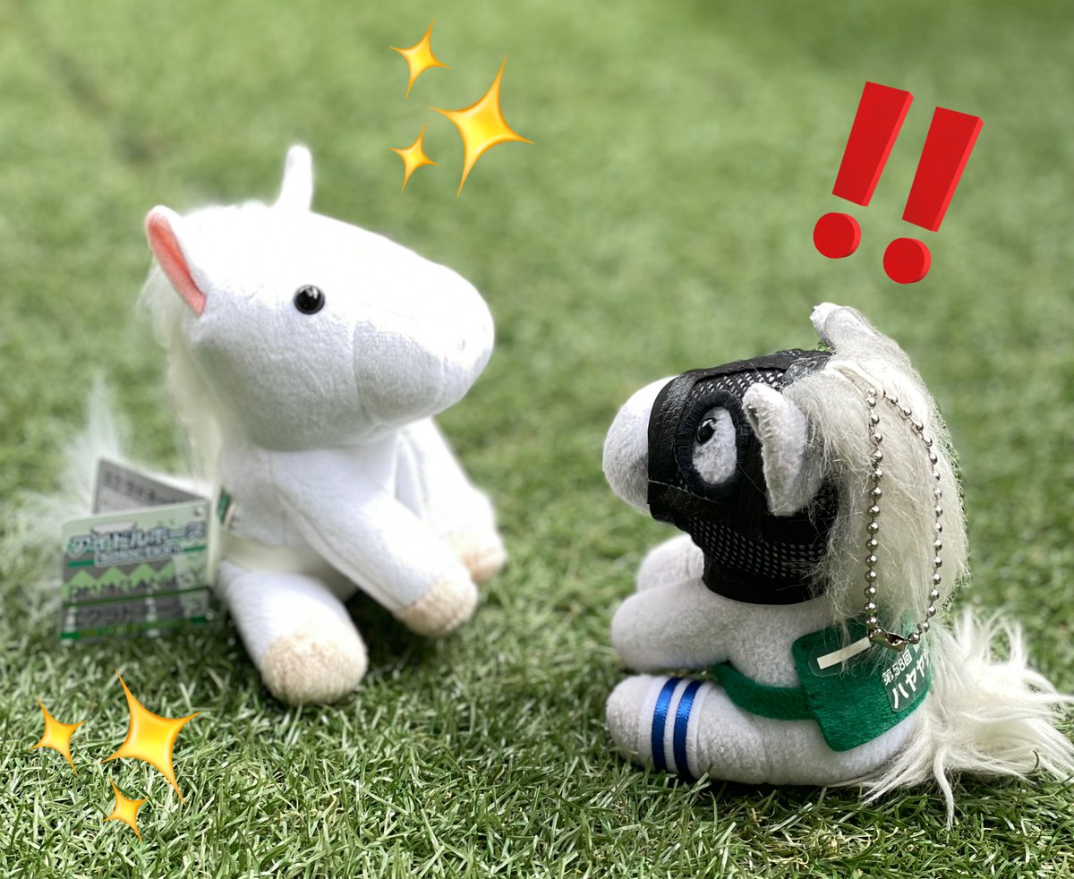え⁉️まだデビューしてないのにもうぬいぐるみになったの?😳>エクラド え⁉️まだデビューしてないのにもうぬいぐるみになったの?😳>エクラド
