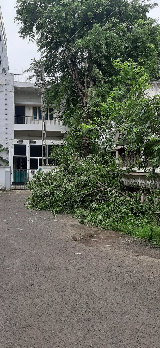 MandarWelankar's tweet photo. @ngpnmc MSEB staff with help of NMC vendor removes branches covering electric pole. Disposal of debris left on plot holder. Contacted NMC person incharge Mr Tidke. Removal will take 3 to 4 days. Why? https://t.co/lKM1UX8vW5